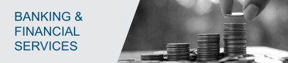 Banking & Financial Services