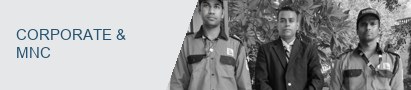 Corporate & MNC